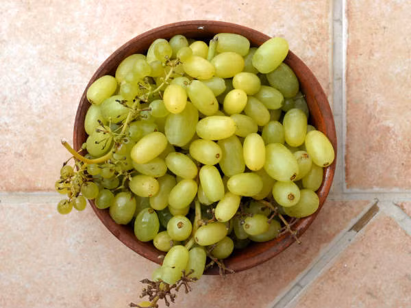 Nho là một nguồn anthocyanin tuyệt vời, giúp giảm viêm và giảm nguy cơ mắc một số bệnh mãn tính như bệnh về mắt, béo phì, bệnh Alzheimer, tiểu đường và bệnh tim.