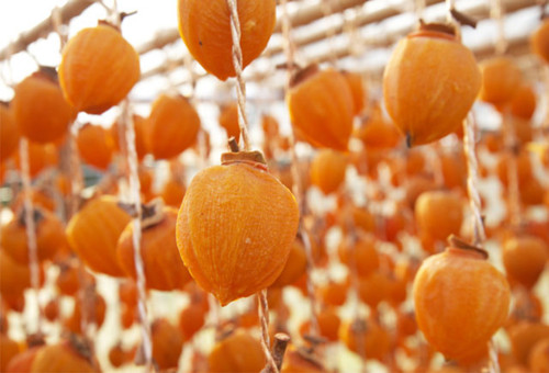 Bạn phơi hồng trên dây dưới ánh nắng càng nắng to càng tốt nhé. Tiếp đến bạn phơi từ 3 đến 5 tuần. Nếu thời tiết quá ẩm thì bạn có thể cho vào lò sấy. Khi thời gian phơi hồng có đủ độ chín thì sẽ chuyển sang màu nâu đậm và được bọc phấn, bạn cất hồng trong hũ kín rồi ăn dần nhé. Ảnh: Internet. Mời độc giả theo dõi video "Chế biến món ngon từ nấm đông cô". Nguồn: VTC.