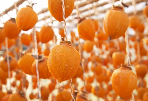 Bạn phơi hồng trên dây dưới ánh nắng càng nắng to càng tốt nhé. Tiếp đến bạn phơi từ 3 đến 5 tuần. Nếu thời tiết quá ẩm thì bạn có thể cho vào lò sấy. Khi thời gian phơi hồng có đủ độ chín thì sẽ chuyển sang màu nâu đậm và được bọc phấn, bạn cất hồng trong hũ kín rồi ăn dần nhé. Ảnh: Internet. Mời độc giả theo dõi video "Chế biến món ngon từ nấm đông cô". Nguồn: VTC.