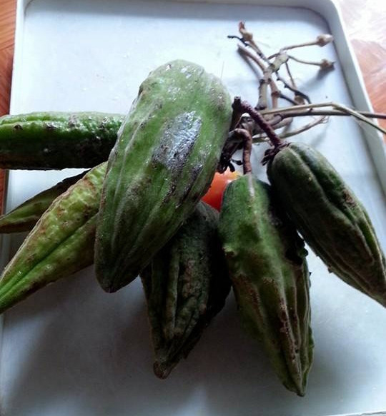 Với những quả Sim già hơn, người ta sẽ rửa sạch, nạo lấy lớp vỏ bên ngoài sau đó trộn với tỏi, ớt, muối, bột ngọt, rau mùi đã giã nhuyễn hoặc sắt nhỏ, sau đó đổ thêm ít nước ấm. Người Thái cũng hay dùng cách chế biến này đối với xoài hoặc mơ. Món này cũng có thể ăn kèm thêm với rau thơm hoặc cơm.