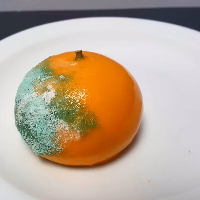 Trong khi hầu hết các đầu bếp đều cố gắng làm ra những món tráng miệng hấp dẫn, ngon mắt nhất có thể thì Ben Churchill đã làm điều ngược lại.