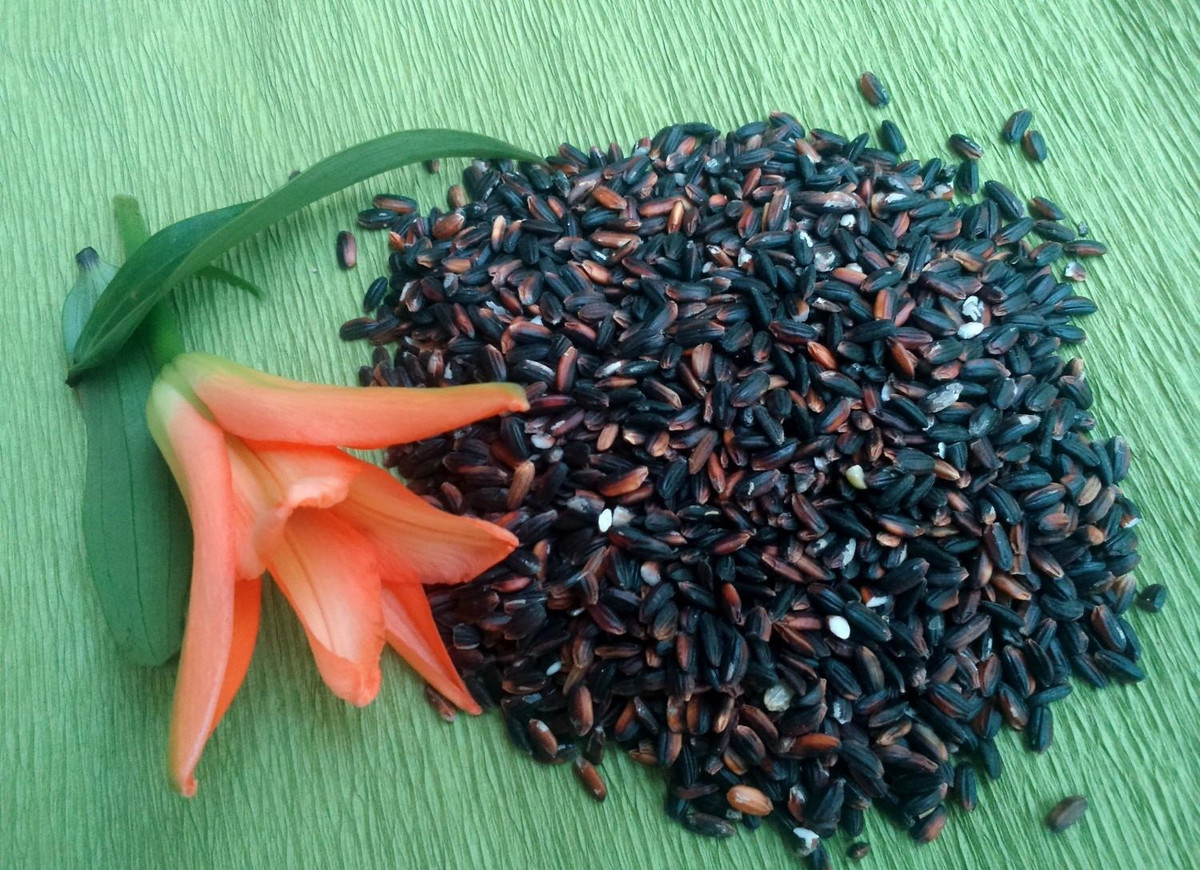 Cach lam ruou nep cam vua ngon vua an toan don Tet Doan Ngo-Hinh-2