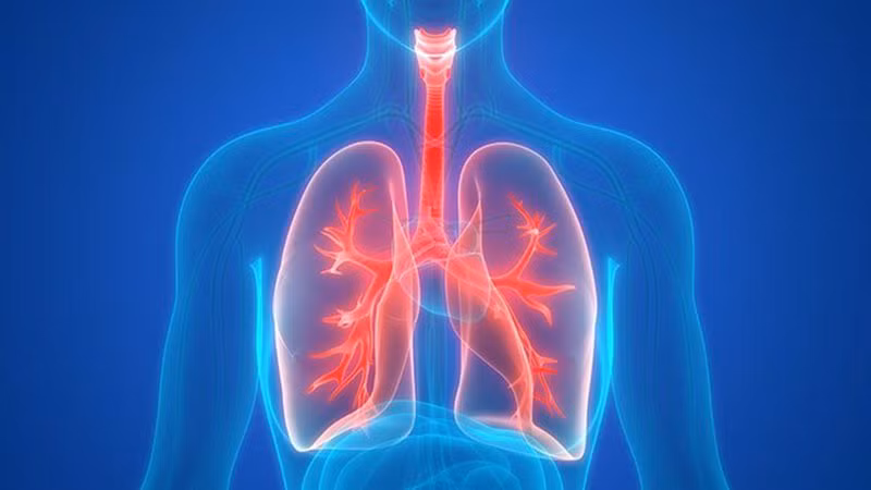 Benh nhan COVID-19 phi cong Anh: Neu ghep phoi... quy trinh the nao?-Hinh-2