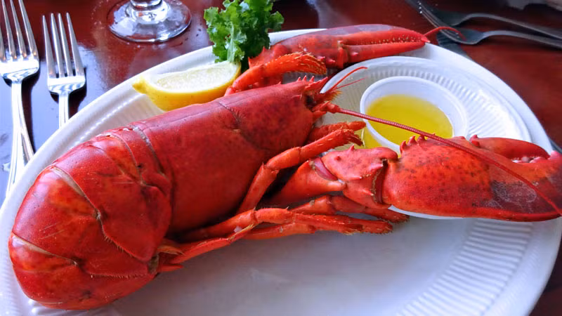 Thu ngay cac mon ngon tu tom hum khi gia ca dang “ha nhiet”-Hinh-2