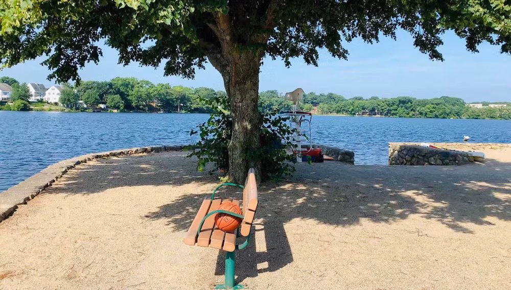 Tung bi phan boi, chong toi van len lut giup vo cu mua nha tien ty