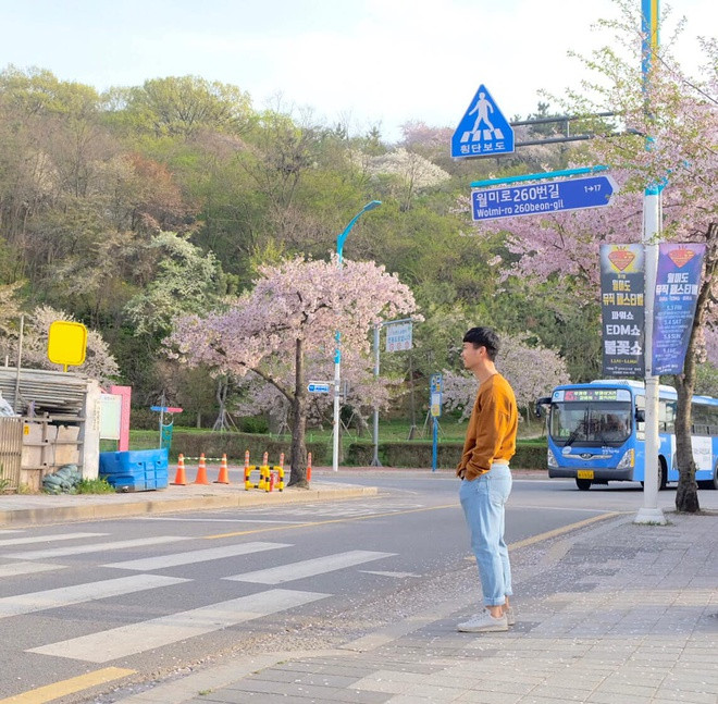 Tới đất nước Hàn Quốc xinh đẹp, Công Phượng thường diện theo kiểu gọn gàng với tông màu tươi sáng. Trong hình, chàng trai phối áo nỉ màu vàng nâu cùng quần jeans sáng màu.