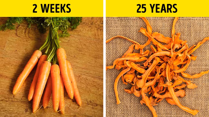 3. Cà rốt: Cắt nhỏ và sấy khô. Cắt cà rốt thành từng miếng nhỏ và sấy, chúng có thể trữ được đến tận 25 năm. 