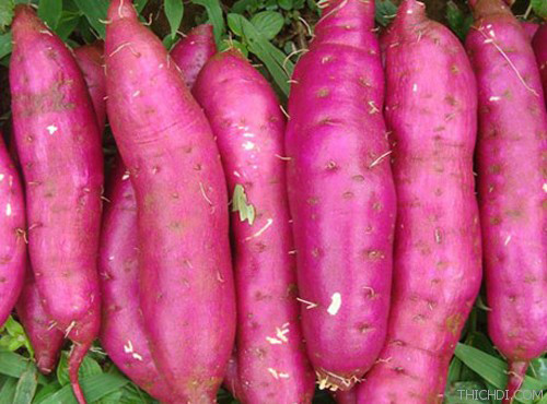 Khoai lang Tuy Đức: Do phù hợp với thổ nhưỡng, khí hậu nên khoai lang ở Tuy Đức đạt năng suất cao, mang hương vị đặc trưng riêng: thơm ngon, bùi, ngọt, hàm lượng tinh bột và dinh dưỡng cao; được người tiêu dùng ưa chuộng, nhiều doanh nghiệp thu mua để sản xuất ra các mặt hàng như bánh, mứt, kẹo… và xuất khẩu sang các thị trường Mỹ, Nhật, Trung Quốc, Singapore, Malaysia.