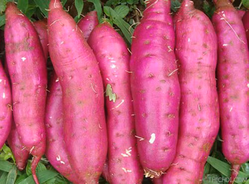 Khoai lang Tuy Đức: Do phù hợp với thổ nhưỡng, khí hậu nên khoai lang ở Tuy Đức đạt năng suất cao, mang hương vị đặc trưng riêng: thơm ngon, bùi, ngọt, hàm lượng tinh bột và dinh dưỡng cao; được người tiêu dùng ưa chuộng, nhiều doanh nghiệp thu mua để sản xuất ra các mặt hàng như bánh, mứt, kẹo… và xuất khẩu sang các thị trường Mỹ, Nhật, Trung Quốc, Singapore, Malaysia.