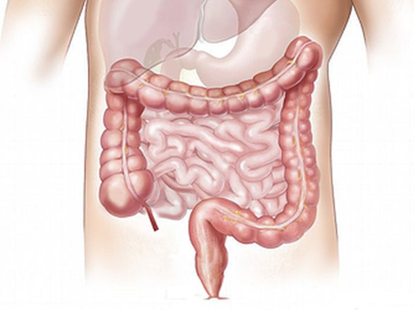 3. Làm sạch ruột: Uống nước khi bụng đói vào buổi sáng giúp làm sạch ruột. Nó thúc đẩy ruột hoạt động đều đặn và giúp điều chỉnh đường tiêu hóa của bạn. Điều này ngăn ngừa táo bón và tiêu hóa kém.