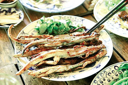 Tuy nhiên, theo chia sẻ của bác sĩ thì thằn lằn có rất ít thịt nên giá trị dinh dưỡng không nhiều. Nếu so sánh về dinh dưỡng thì thịt cóc còn bổ dưỡng hơn. Do vậy, bác sĩ cho rằng không nên khuyến khích việc ăn thịt thằn lằn bởi loài này bản chất ăn côn trùng như ruồi, muỗi, trong khi hiện có rất nhiều loại thực phẩm bổ dưỡng khác an toàn hơn.