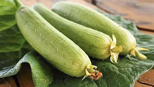 Khong ngo an qua muop lai bo duong voi suc khoe nhu “nhan sam”-Hinh-2