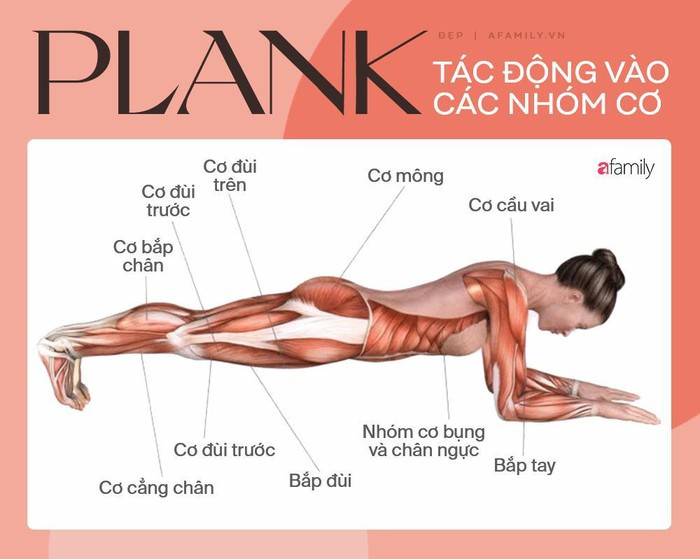 Tap plank kieu nay giup tang hieu qua dot mo bung duoi cuc tot-Hinh-4