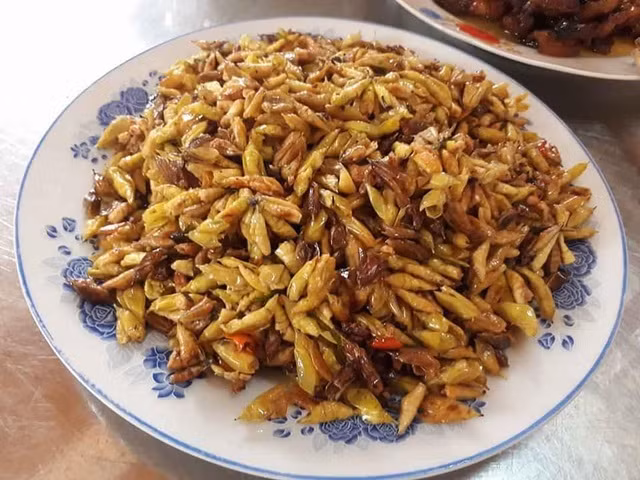 Nhộng sâu muồng về cơ bản cũng có hương vị như những loại nhộng sâu khác nhưng có lẽ chúng sinh trưởng dựa vào những tán cây màu mỡ ở Tây Nguyên nên hương vị đặc biệt hơn. Món ăn xuất hiện nhiều ở các quán nhậu và trong mâm cơm gia đình, được người dân địa phương rất yêu thích.