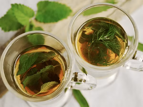 Trà thảo mộc: Trà thảo mộc là một trong những loại trà tốt nhất giúp giảm axit dạ dày. Loại trà này giúp làm dịu đường ruột và giảm sản sinh axit. Khi uống, hãy thổi nguội trà một chút và uống chậm rãi để đạt hiệu quả cao hơn.