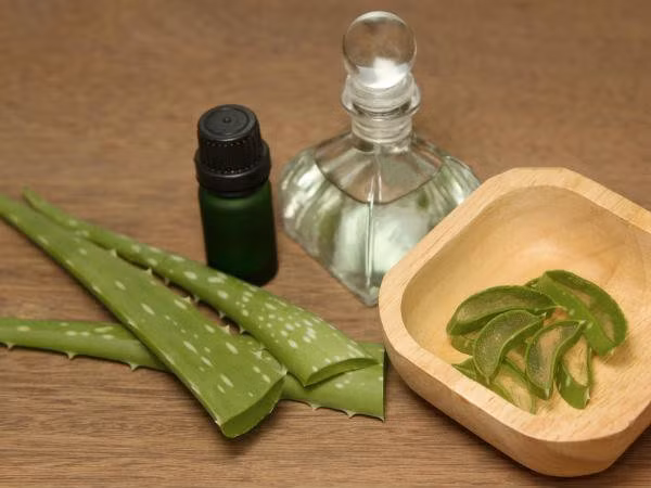 Nha đam: Nha đam là một chất làm mát tự nhiên, có khả năng điều trị ợ nóng và axit dạ dày. Bạn có thể uống nước nha đam hoặc sử dụng trong các món ăn để giảm axit dạ dày.