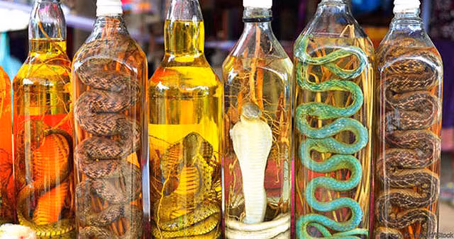 Nọc độc từ rắn hoặc bọ cạp được cho là đã được trung hòa hóa với etanol trong rượu và do đó trở thành vô hại. Không thể nói nhiều về hương vị của đồ uống này vì nó được dùng chủ yếu cho mục đích y học. Đồ uống này được biết đến với tính chất kích thích tình dục. Rượu cũng đi kèm với rễ nhân sâm và các thành phần thảo dược khác phổ biến trong Y học cổ truyền Trung Quốc. Ảnh: Internet. Mời độc giả theo dõi video "Chế biến món ngon từ nấm đông cô". Nguồn: VTC.