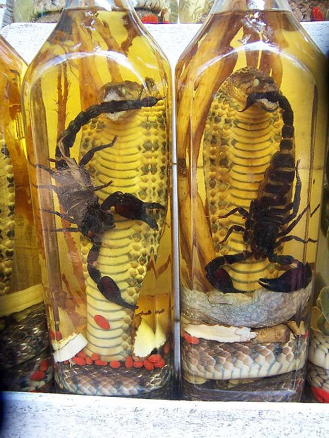 5. Rượu rắn: Đây là một trong những đồ uống đáng sợ nhất được tìm thấy ở hầu hết các nước Đông Nam Á. Được làm chủ yếu từ rắn hổ mang nọc độc, thức uống này bao gồm nguyên một con rắn hổ mang ngâm trong một chai rượu làm từ gạo (đôi khi chúng đi kèm với một con bọ cạp có nọc độc).