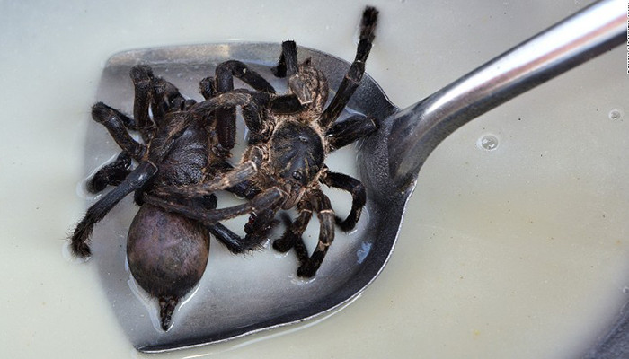 Skuon ở giữa Siem Reap và Phnom Penh là nơi có nhiều loài nhện tarantulas sinh sống. Du khách có thể dễ dàng mua món này dọc đường phố, hoặc nhà hàng Romdeng ở Phnom Penh.