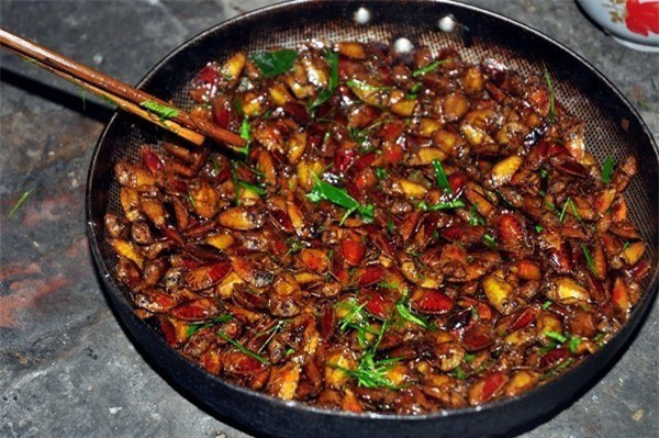 Ngoài ra những người từng dũng cảm ăn thử cũng cho biết hương vị món ăn không hề hấp dẫn chút nào.