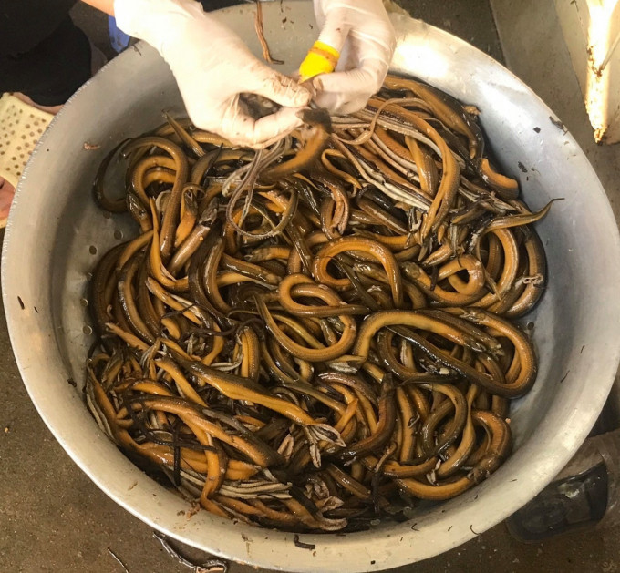 Súp lươn Nghệ An thực tình là một biến tấu của món cháo lươn. Cũng như khi nấu cháo. Món súp lươn làm cũng rất công phu từ khâu chọn nguyên liệu cho đến khi bắt tay vào chế biến.