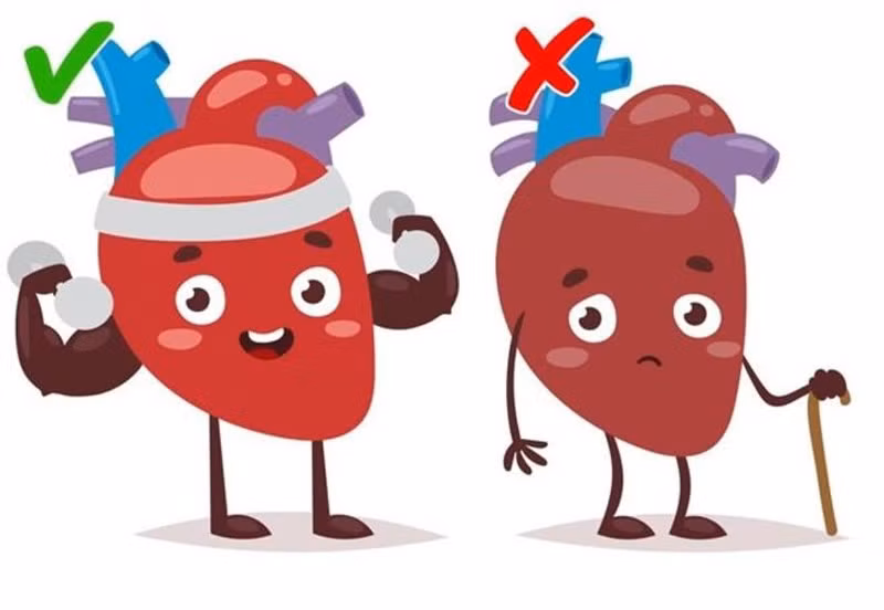 Làm chậm nhịp tim: Uống nước đá có thể khiến nhịp tim của bạn giảm xuống. Điều này là do tĩnh mạch thần kinh ở phía sau cổ và hệ thống thần kinh tim bị ảnh hưởng bởi nhiệt độ lạnh giảm đột ngột. Ảnh: Brightside.