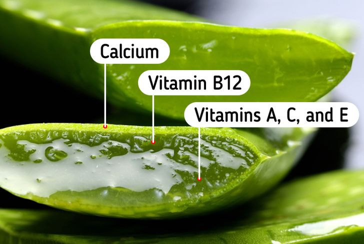 Nha đam chứa nhiều vitamin và canxi, giúp loại bỏ các tế bào chết, chống viêm da đầu, trị gàu. Ngoài ra, lô hội cũng loại bỏ dầu thừa, cung cấp độ ẩm cho da đầu, thúc đẩy sự phát triển của nang tóc. Thoa gel nha đam lên toàn bộ tóc rồi dùng lược răng thưa chải nhẹ nhàng vài phút. Sau đó, ủ tóc trong 30 phút rồi gội sạch lại với nước mát.