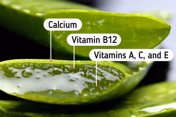 Nha đam chứa nhiều vitamin và canxi, giúp loại bỏ các tế bào chết, chống viêm da đầu, trị gàu. Ngoài ra, lô hội cũng loại bỏ dầu thừa, cung cấp độ ẩm cho da đầu, thúc đẩy sự phát triển của nang tóc. Thoa gel nha đam lên toàn bộ tóc rồi dùng lược răng thưa chải nhẹ nhàng vài phút. Sau đó, ủ tóc trong 30 phút rồi gội sạch lại với nước mát.