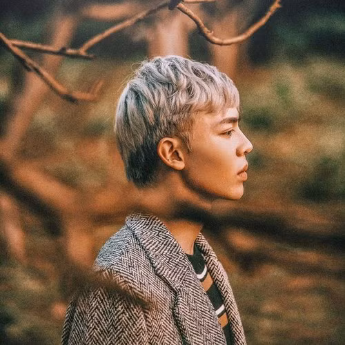 Sở hữu nước da khá trắng nên Erik khá hợp với những màu tóc nổi bật.