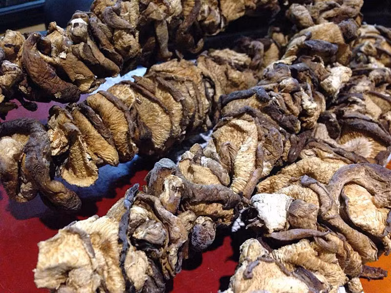 Nấm hương rừng Điện Biên: Nấm hương tưởng chừng như là một gia vị đơn giản dễ thấy nhưng giờ đây cũng đang ngày càng bị lấn át bởi các loại nấm nhập không rõ nguồn gốc, xuất xứ. Chính vì lẽ đó mà loại nấm từ những vùng rừng xa xôi như Điện Biên, Sa Pa lại đang dần trở nên tín nhiệm hơn đối với các bà, các mẹ đang muốn tìm những thực phẩm sạch cho gia đình.