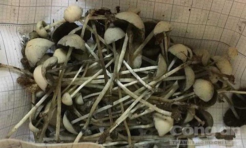 Nam thuc than khien sinh vien Bach Khoa bi khoi to... nguy hai “chet nguoi”?-Hinh-2