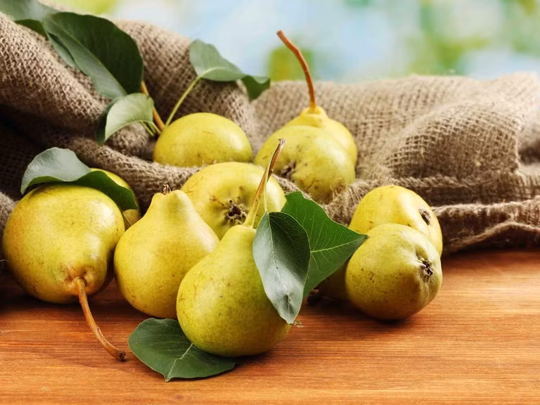 Quả lê chứa flavonoid. Theo một nghiên cứu tại Mỹ, những người ăn nhiều flavonoid có xu hướng ít tăng cân hơn. Đặc biệt, phụ nữ ăn táo hoặc lê sẽ giảm được hơn 1kg so với những người ăn bánh quy trong vòng 1 tuần.