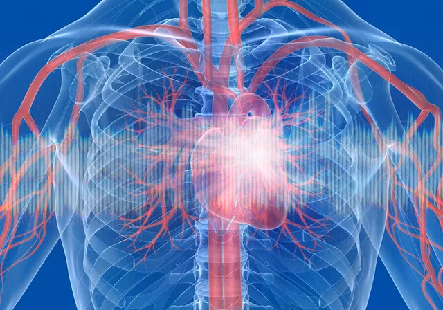 Ngoai phoi, bo phan co the nao cung ton thuong nghiem trong khi nhiem COVID-19?