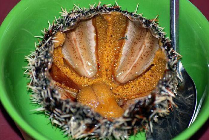 Nhum: Hương vị nhum biển Phú Quốc không giống bất cứ một loại hải sản nào. Thịt và trứng của nó vừa ngọt, béo, thơm tựa gạch cua bể lẫn dư vị mằn mặn của biển…