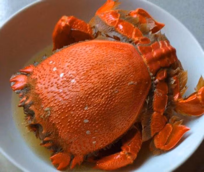 Cua hoàng đế: Thịt cua không chỉ chắc, mà phần gạch cua còn thơm và béo ngậy. Cua huỳnh đế có thể chế biến nhiều cách như hấp, nướng than, nhưng đặc biệt phải kể đến món cháo. Tô cháo có màu vàng của lớp mỡ, màu đỏ của gạch cua, màu trắng của thịt cua, vừa bắt mắt vừa hấp dẫn tuyệt vời.