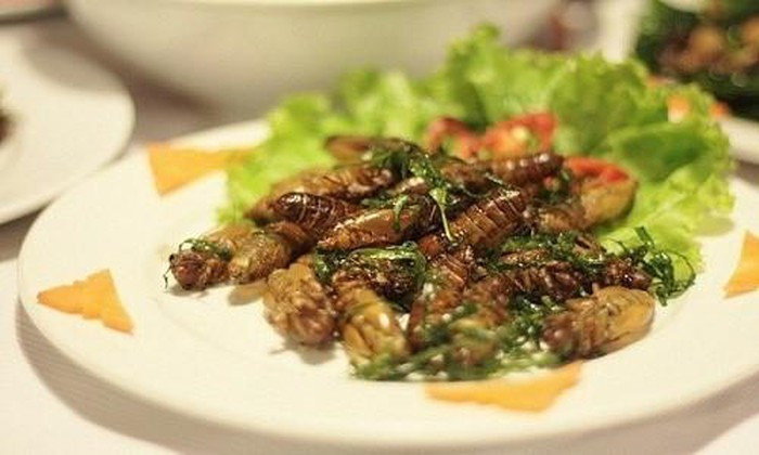 Nhộng ve sầu hay ve sầu non từ lâu đã trở thành món ăn khoái khẩu được dân nhậu khắp nơi săn lùng. Mỗi khi hè đến, người dân các tỉnh miền núi rộ lên phong trào đi bắt ve sầu lột xác kiếm cả triệu đồng mỗi đêm.