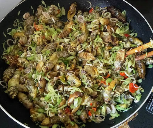 Nhộng ve sầu là món đặc sản hấp dẫn và nhiều dinh dưỡng chỉ có trong khoảng thời gian ngắn trong năm. Món ăn này không phải có tiền là mua được mà còn mang đến thú vui khi được đi soi ve, chờ được thưởng thức món nhộng ve với một hương vị dân dã khó quên. Ảnh: Internet. Video "Chế biến món ngon từ nấm đông cô". Nguồn: VTC.