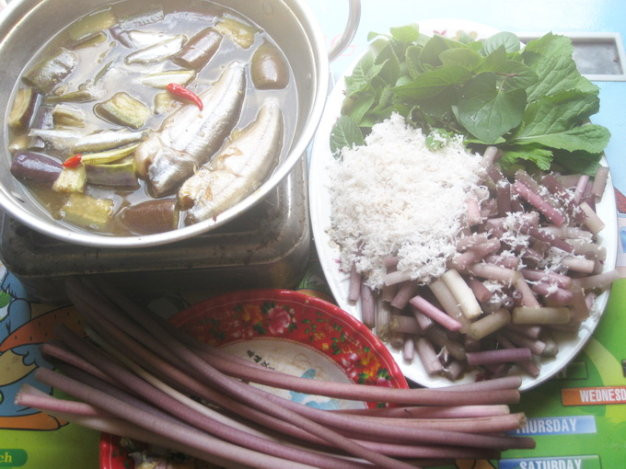 Ăn mắm kho bông súng đúng cách phải ngồi ăn dưới đất. Bông súng để nguyên cọng dài, dùng tay bẻ nùi bỏ vào chén, chan nước mắm kho lên cho ngập bông súng, thêm mấy con tép màu đỏ làm tăng thêm phần hấp dẫn rồi lấy đũa lùa vào miệng, từ từ nhai cho thấm vào tận chân răng. Đây là món ăn đặc sản đáng để mọi người thưởng thức. Ảnh: Internet. Mời độc giả theo dõi video "Chế biến món ngon từ nấm đông cô". Nguồn: VTC.