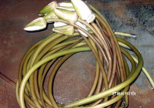 Nếu đặt chân đến An Giang, bạn phải thử món gỏi bông súng vừa ngon vừa lạ miệng. Món ăn này đặc biệt kích thích vị giác khi được trộn với tôm, thịt, bánh phồng tôm.