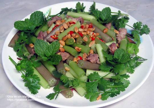 Ngoài món gỏi, bông súng còn dùng để kho mắm. Đây là món ăn dễ làm, không tốn kém nhiều lại mang đậm hương vị đồng quê nên để lại ấn tượng sâu đậm trong ký ức những ai lần đầu thưởng thức.