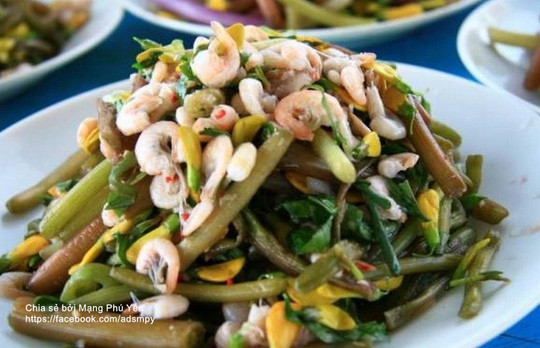 Ăn món gỏi bông súng, người ăn cảm nhận được vị ngọt của phù sa và mát lành của sông nước đồng quê trong từng cọng bông súng.