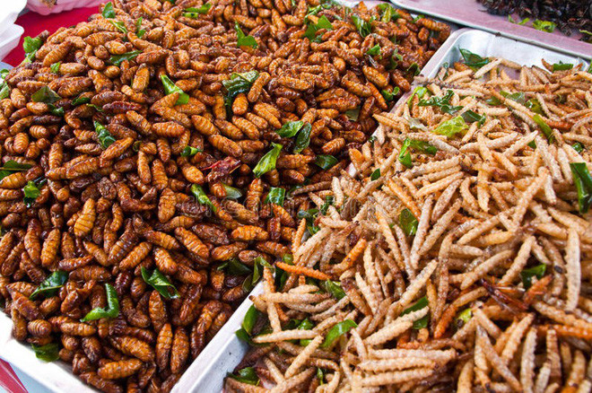 Sâu đất được xem là đặc sản và là món ăn đường phố nổi bật bậc nhất xứ triệu voi. Khi thu hoạch sâu đất, người ta thường sẽ không chế biến ngay mà giữ trong những chiếc hộp lớn, chôn sâu dưới đất, đợi 30 ngày sau chúng trở nên to béo mới nấu.