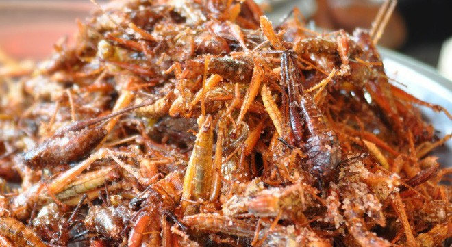 Dế và châu chấu từ lâu đã được đưa vào thực đơn ăn uống của người dân bản địa Lào nhằm giải quyết vấn nạn suy dinh dưỡng. Thịt dế và châu chấu được nhiều thực khách khen là cực kỳ bùi béo, không hề có mùi tanh đặc trưng của côn trùng do đã được sơ chế sạch sẽ.