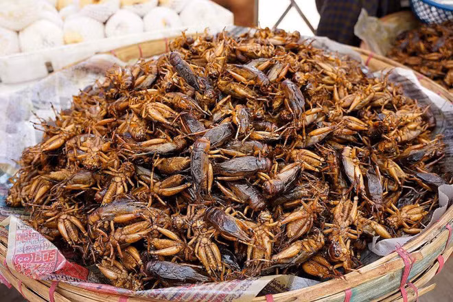 Thông thường ở Lào, hai loại côn trùng này sẽ được chiên giòn trong chảo dầu hoặc xào với chút ớt, hành lá, tỏi… nhằm kích thích vị giác hơn khi ăn. Với nhiều du khách, đây là món ăn khoái khẩu, dùng để nhắm với bia hoặc ăn kèm cùng cơm cũng đều ổn.