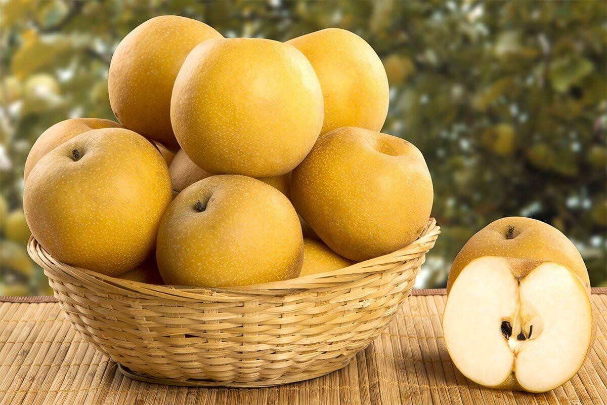 Lê Hàn Quốc: Lê của Hàn Quốc to quả, thịt rất giòn, thơm và ngọt. Ở Việt Nam vài năm gần đây, món này đang rất hot và vì thế nếu có dịp đến Hàn Quốc, đừng bỏ qua cơ hội thưởng thức loại quả này nhé.