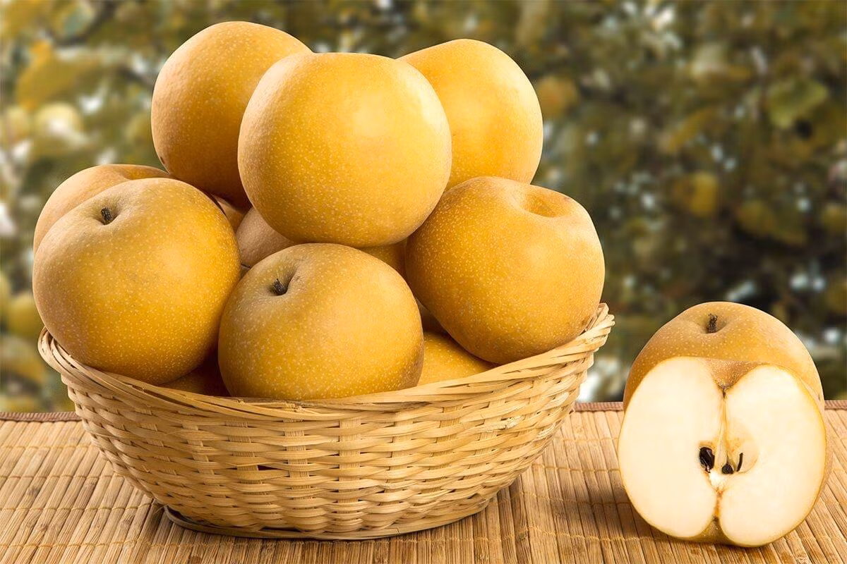 Lê Hàn Quốc: Lê của Hàn Quốc to quả, thịt rất giòn, thơm và ngọt. Ở Việt Nam vài năm gần đây, món này đang rất hot và vì thế nếu có dịp đến Hàn Quốc, đừng bỏ qua cơ hội thưởng thức loại quả này nhé.