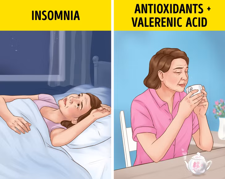 Trà rễ valerian là một loại cây lâu năm có hoa màu hồng hoặc trắng với mùi thơm ngọt ngào. Rễ của cây valerian được sử dụng như một loại thảo dược với khả năng thúc đẩy giấc ngủ và làm giảm chứng mất ngủ.