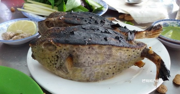 Cá bò hòm không dẹt, dài mà có bề ngoài vuông vức cùng lớp vỏ được tạo thành từ các khối lục giác cứng chắc. Có người cho rằng, cá bò hòm cùng họ với các loài cá có da dày và nhám như cá bò gù, cá bò da nên cũng được gọi là cá bò, còn hình dáng cái hòm.