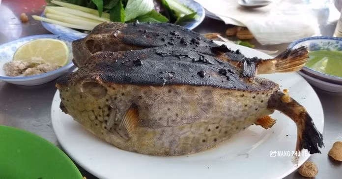 Cá bò hòm không dẹt, dài mà có bề ngoài vuông vức cùng lớp vỏ được tạo thành từ các khối lục giác cứng chắc. Có người cho rằng, cá bò hòm cùng họ với các loài cá có da dày và nhám như cá bò gù, cá bò da nên cũng được gọi là cá bò, còn hình dáng cái hòm.