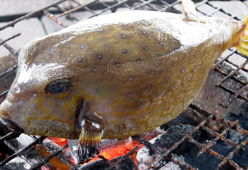 Chỉ cần đặt cá lên bếp than hồng, cứ thế lật trở cho đều tới khi lớp da cháy đen lại là thịt cá đã chín.